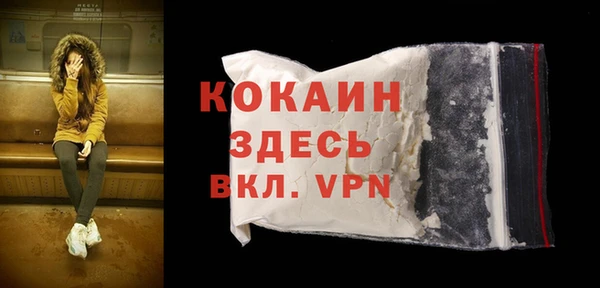 твердый Богородск