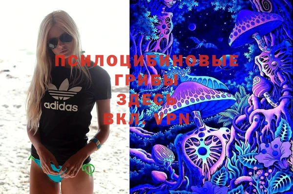 COCAINE Богородицк