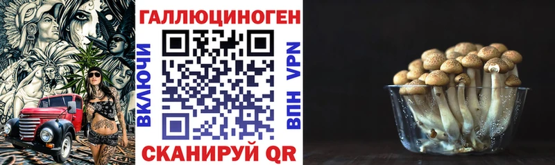 Купить где  Реж  Галлюциногенные грибы MAGIC MUSHROOMS 