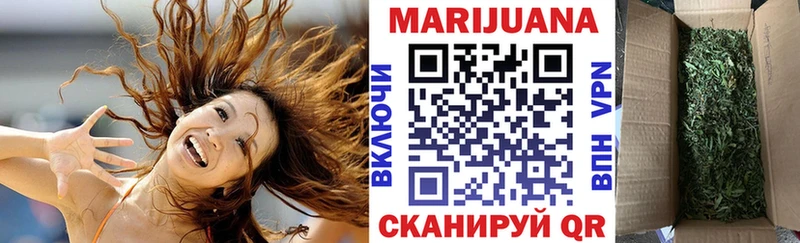 Конопля индика  Купить где  Реж 